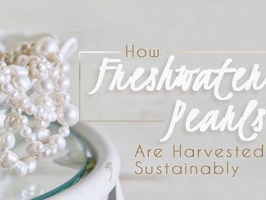 How Freshwater Pearls Are Harvested Sustainably - The Bead Traders