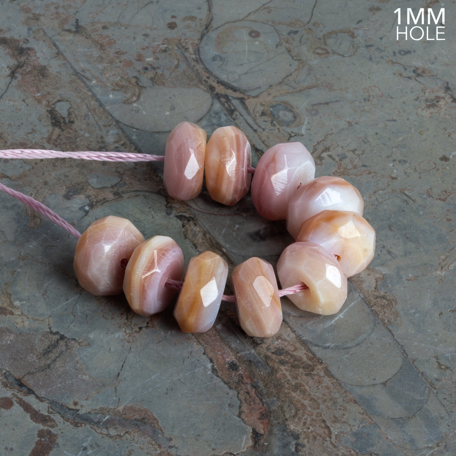 10mm Light Pimpleback Shell Faceted Rondelles 10 Beads - The Bead Traders
