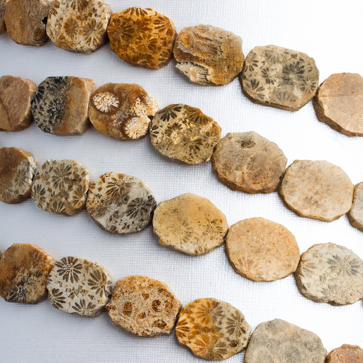 16x13mm Fossil Coral Straight Drilled Slices 8 inch 13 beads - The Bead Traders