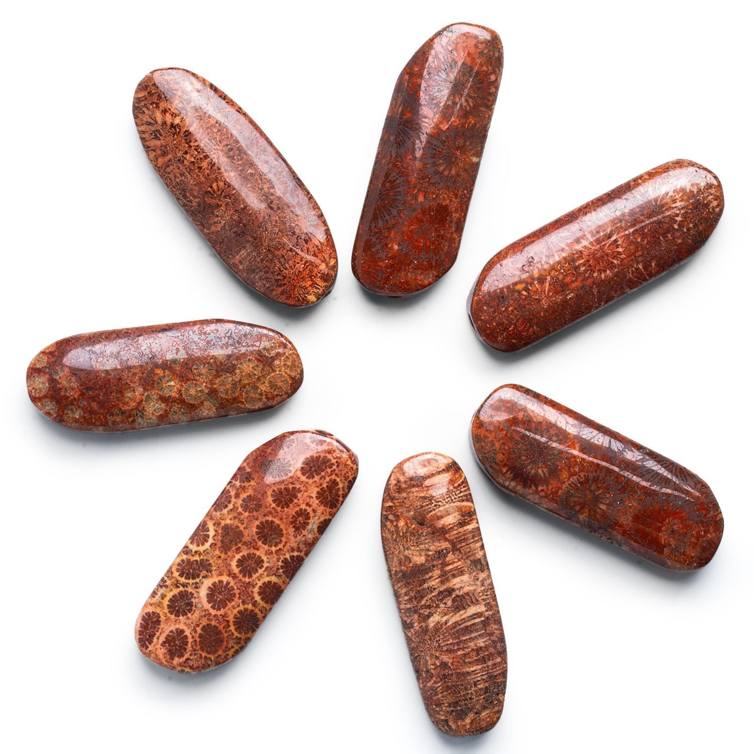 50x28m Fossilized Coral 2.5mm Large Hole Elongated Oval Focal 1 Bead - The Bead Traders