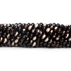 Shell Beads
