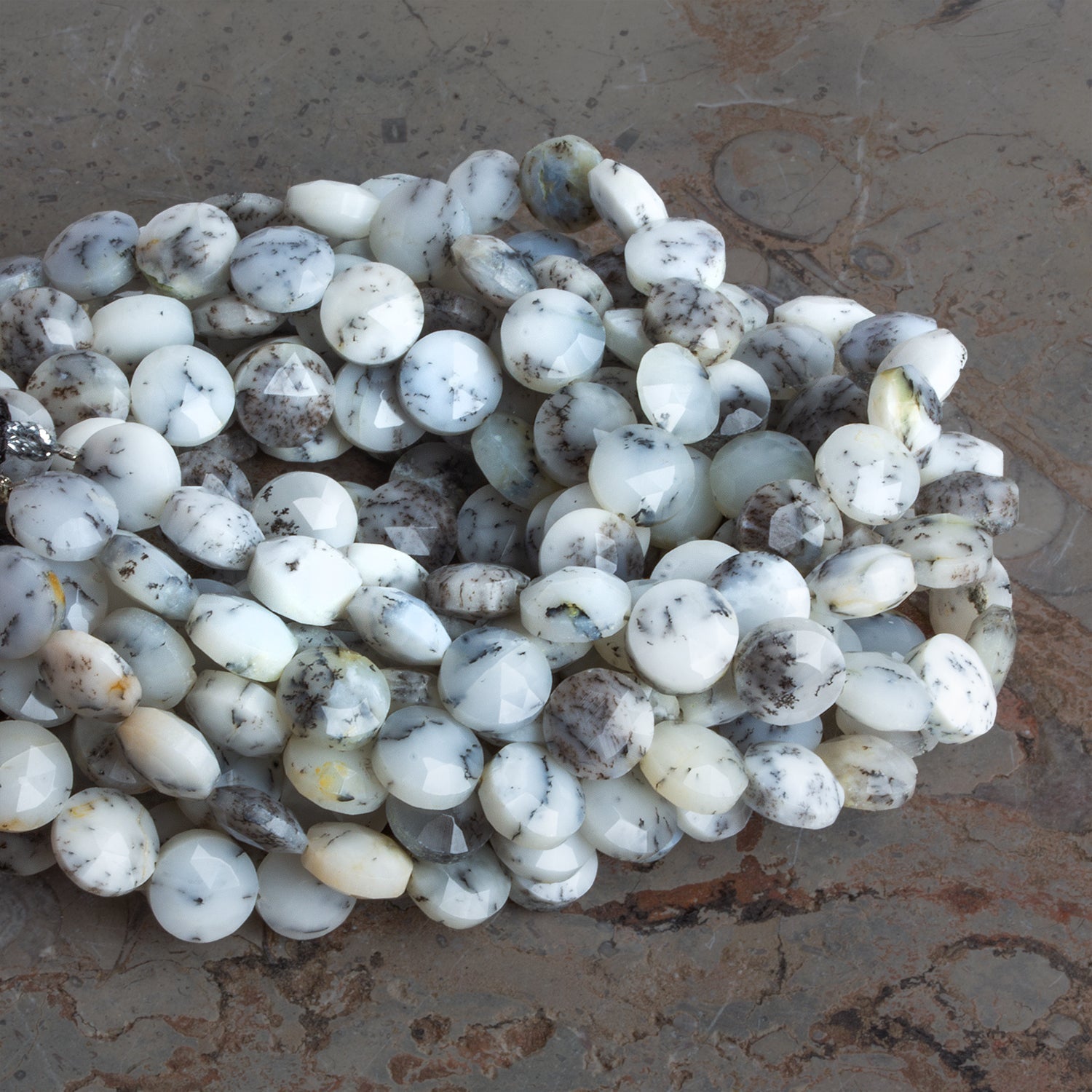 8 - 8.5mm Dendritic Opal Faceted Coins 7.5 inch 23 beads - The Bead Traders