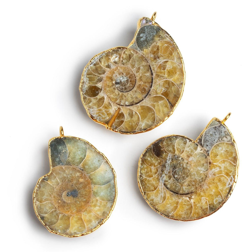 37x30mm Gold Leafed Ammonite Focal 1 Bead - The Bead Traders