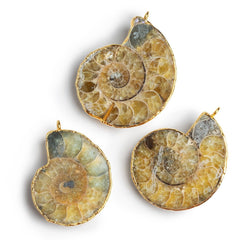 Fossil Beads