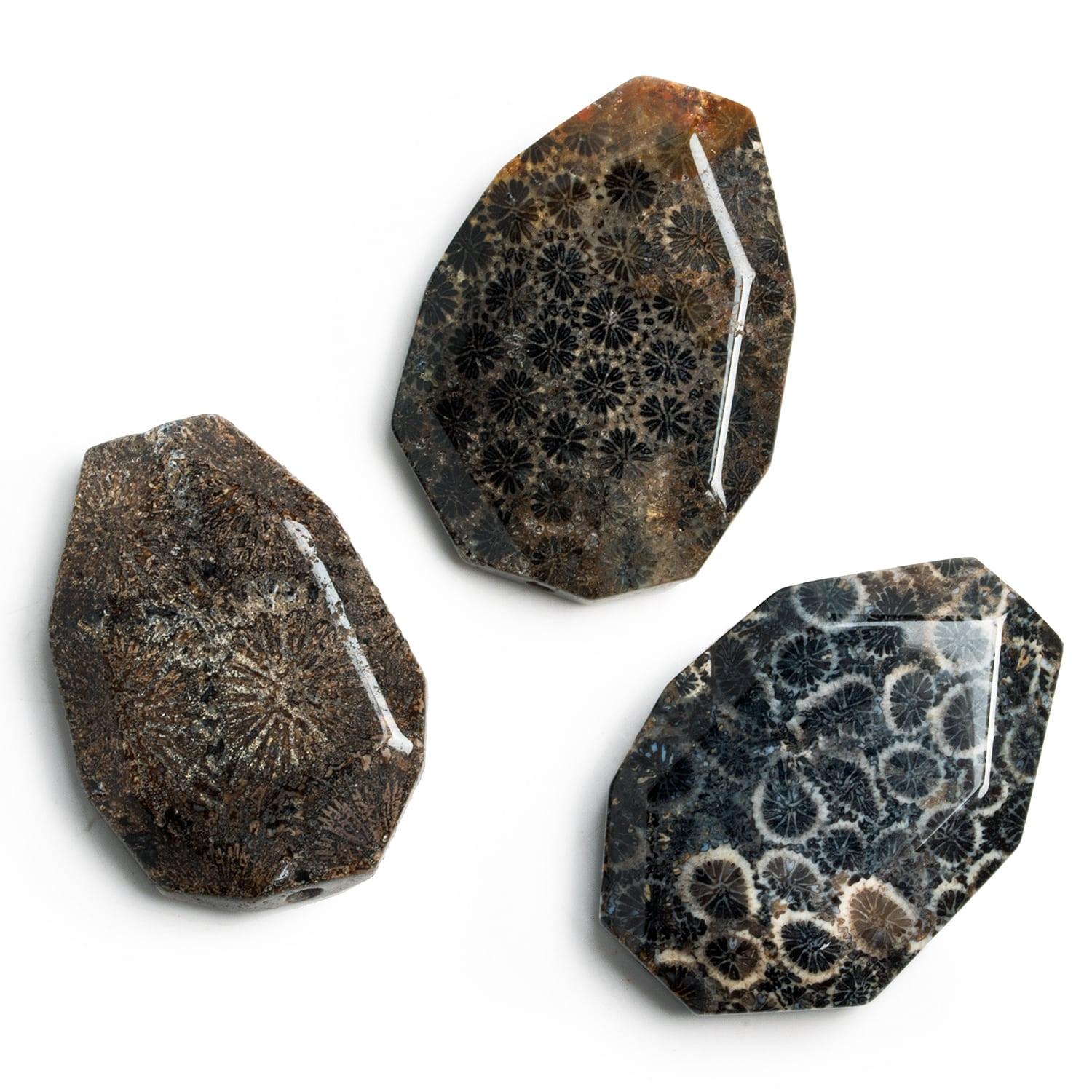 38x28mm Fossilized Coral Focal Pendant 1 Piece - The Bead Traders