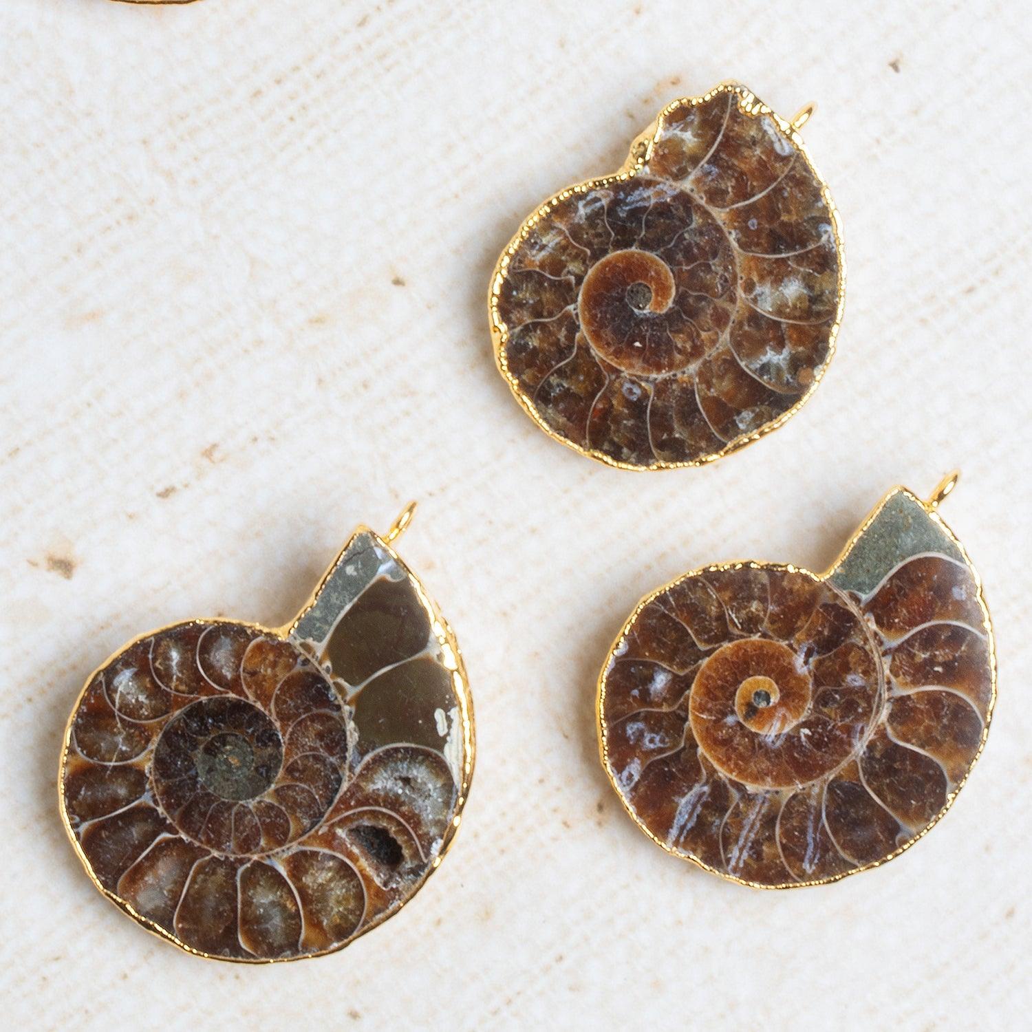 40x30mm Gold Leafed Ammonite Focal 1 Bead - The Bead Traders