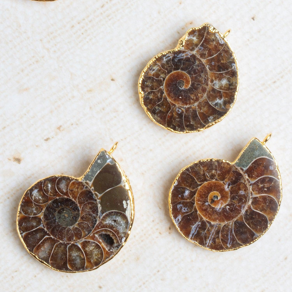 40x30mm Gold Leafed Ammonite Focal 1 Bead - The Bead Traders