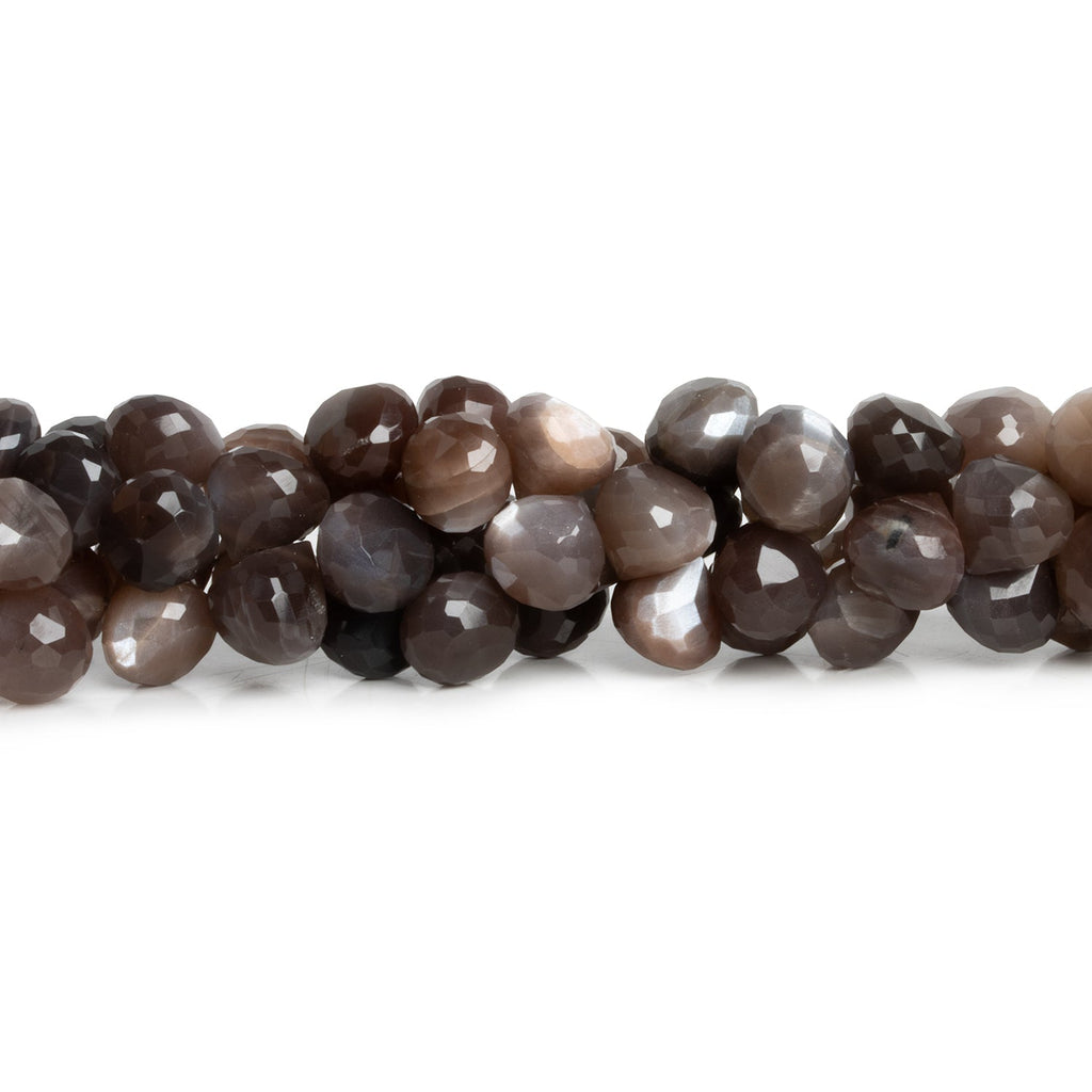 8mm Chocolate Moonstone Faceted Candy Kiss 8 inch 50 beads - The Bead Traders