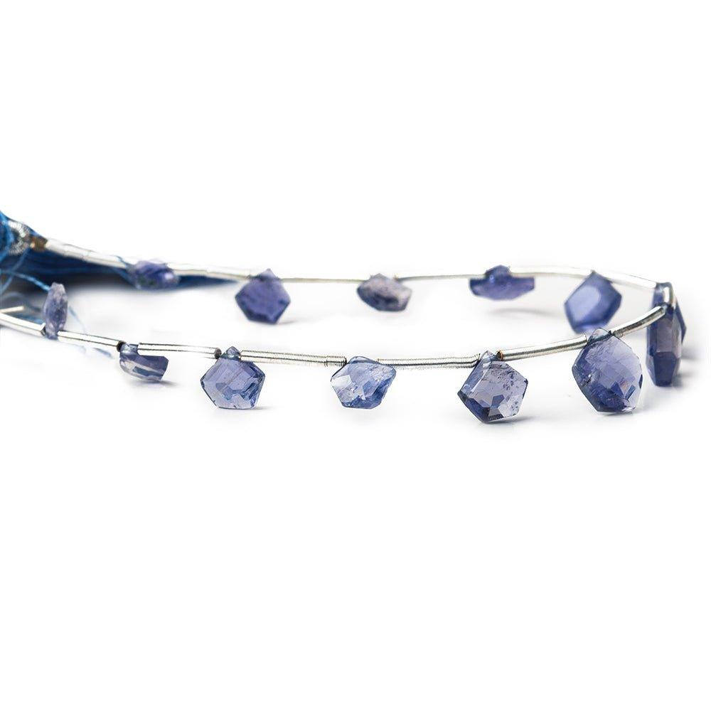 Light Iolite Faceted Top Drilled Pentagon - The Bead Traders
