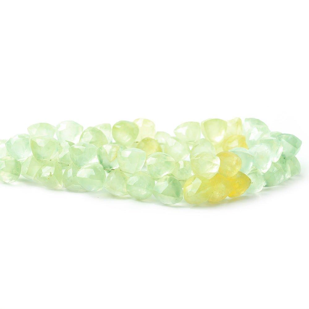 Prehnite top drilled Triangles 8 inch 53 beads 8mm A - The Bead Traders