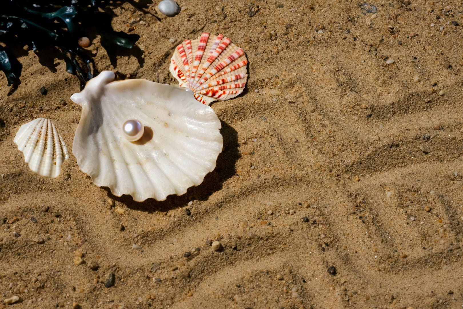 A Dive into the World of Pearls: Freshwater vs. Saltwater - The Bead Traders