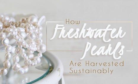 How Freshwater Pearls Are Harvested Sustainably - The Bead Traders