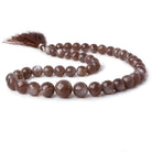 10 - 16.5mm Chocolate Moonstone Faceted Rondelles 16 inch 30 beads - The Bead Traders