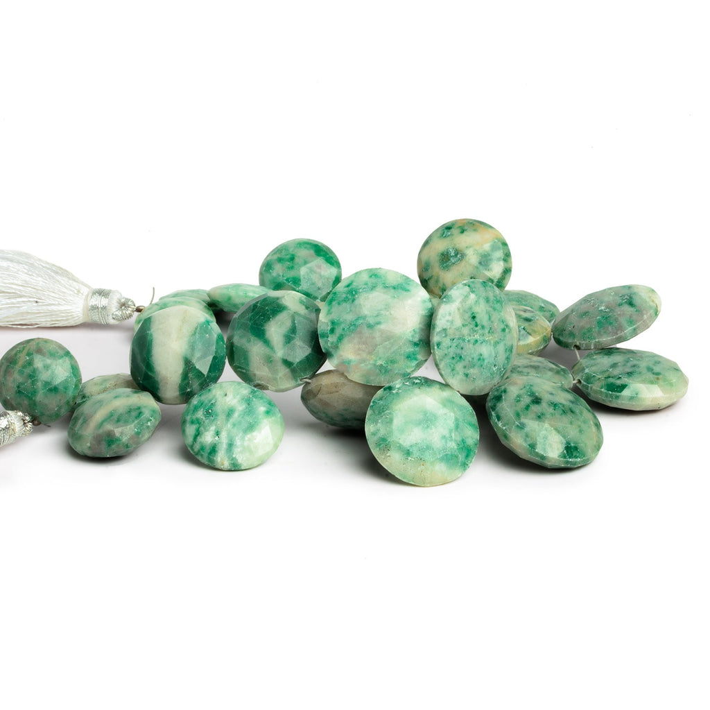 10 - 21mm Tree Agate Faceted Coins 7.5 inch 23 beads - The Bead Traders