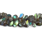 10x7mm Labradorite Faceted Pears 8 inch 47 beads - The Bead Traders