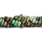 11x8mm Chrysoprase Plain Chips 7.5 inch 33 beads - The Bead Traders