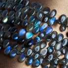 11x8mm Labradorite Plain Pears 8 inch 45 beads - The Bead Traders