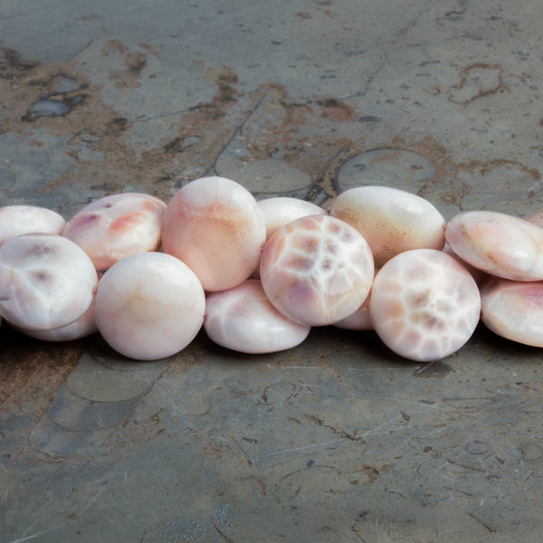 12-13mm Natrolite Plain Coins 7.5 inch 15 beads