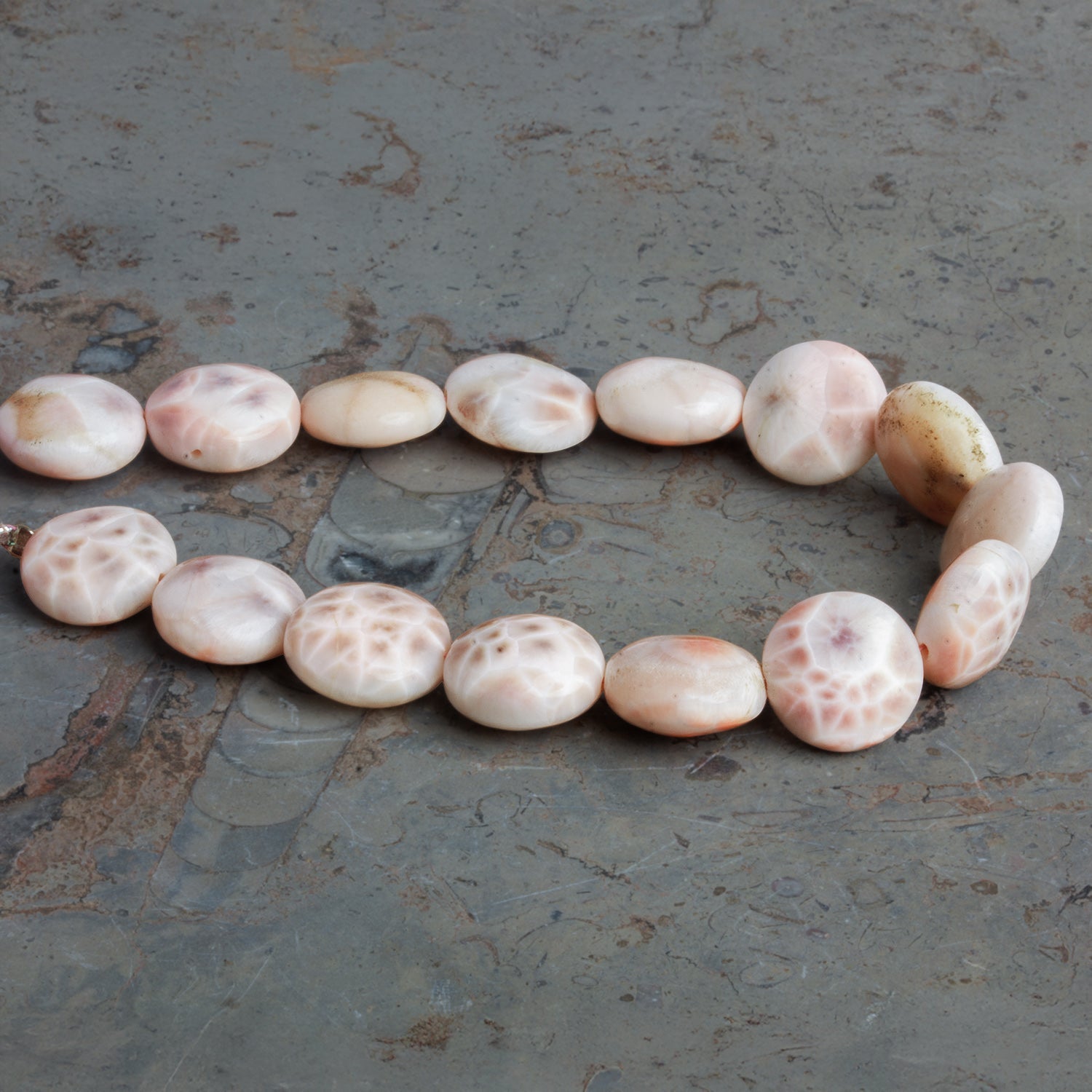 12 - 13mm Natrolite Plain Coins 7.5 inch 15 beads - The Bead Traders