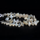 13x9mm Cream Moonstone Plain Kites 14 inch 35 beads - The Bead Traders