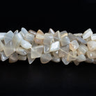 13x9mm Cream Moonstone Plain Kites 14 inch 35 beads - The Bead Traders