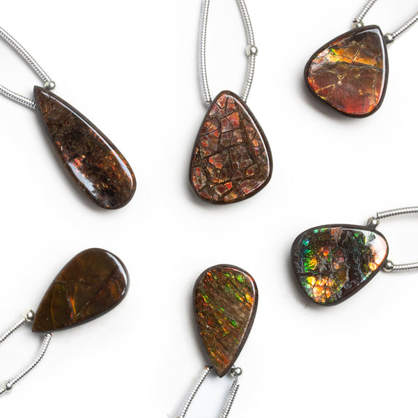 14x10mm Ammolite Pear Focal 1 Bead