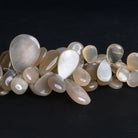 15x11mm Cream Moonstone Plain Pears 8 inch 55 beads - The Bead Traders