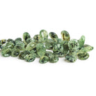 16x11mm Prehnite Plain Pears 8 inch 47 beads - The Bead Traders