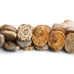 Fossil Beads