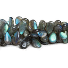 16x7mm Labradorite Plain Pears 8 inch 45 beads - The Bead Traders