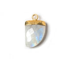 18x10mm Gold Leafed Rainbow Moonstone Horn Pendants 1 piece - The Bead Traders