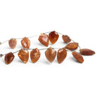18x13mm Sunstone Top - Drilled Shields 7.5 inch 13 beads - The Bead Traders
