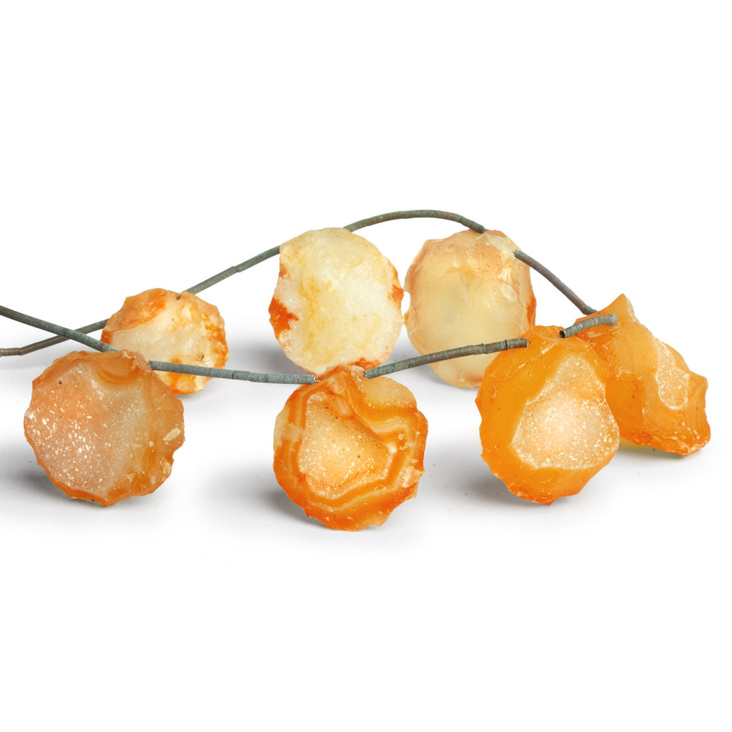 20x27mm Honey Drusy Hammer Faceted Coins 7 inch 7 beads - The Bead Traders