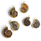24x18mm Gold Leafed Fossil Pendants 2 Beads - The Bead Traders