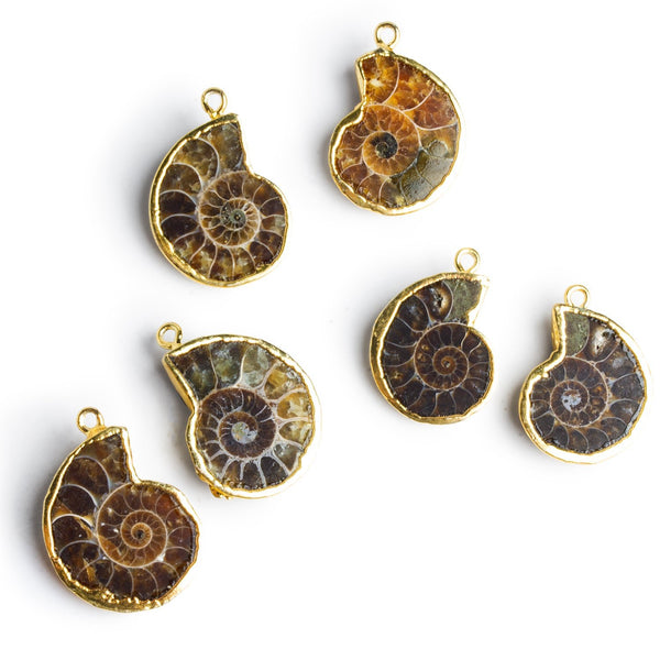 24x18mm Gold Leafed Fossil Pendants 2 Beads