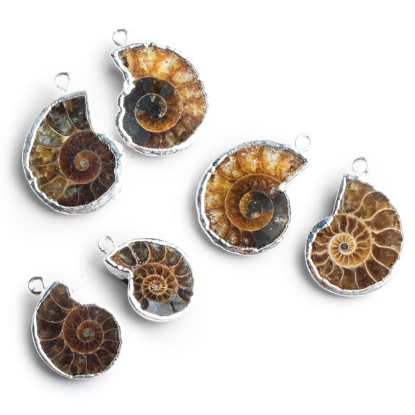25x16mm Silver Leafed Fossil Pendants 2 beads