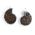 28mm Silver Leafed Ammonite Pendants 2 Beads - The Bead Traders