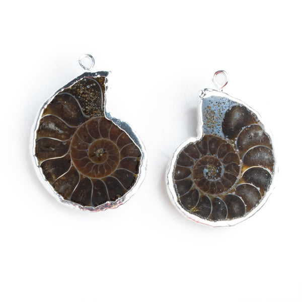28mm Silver Leafed Ammonite Pendants Matched Pair