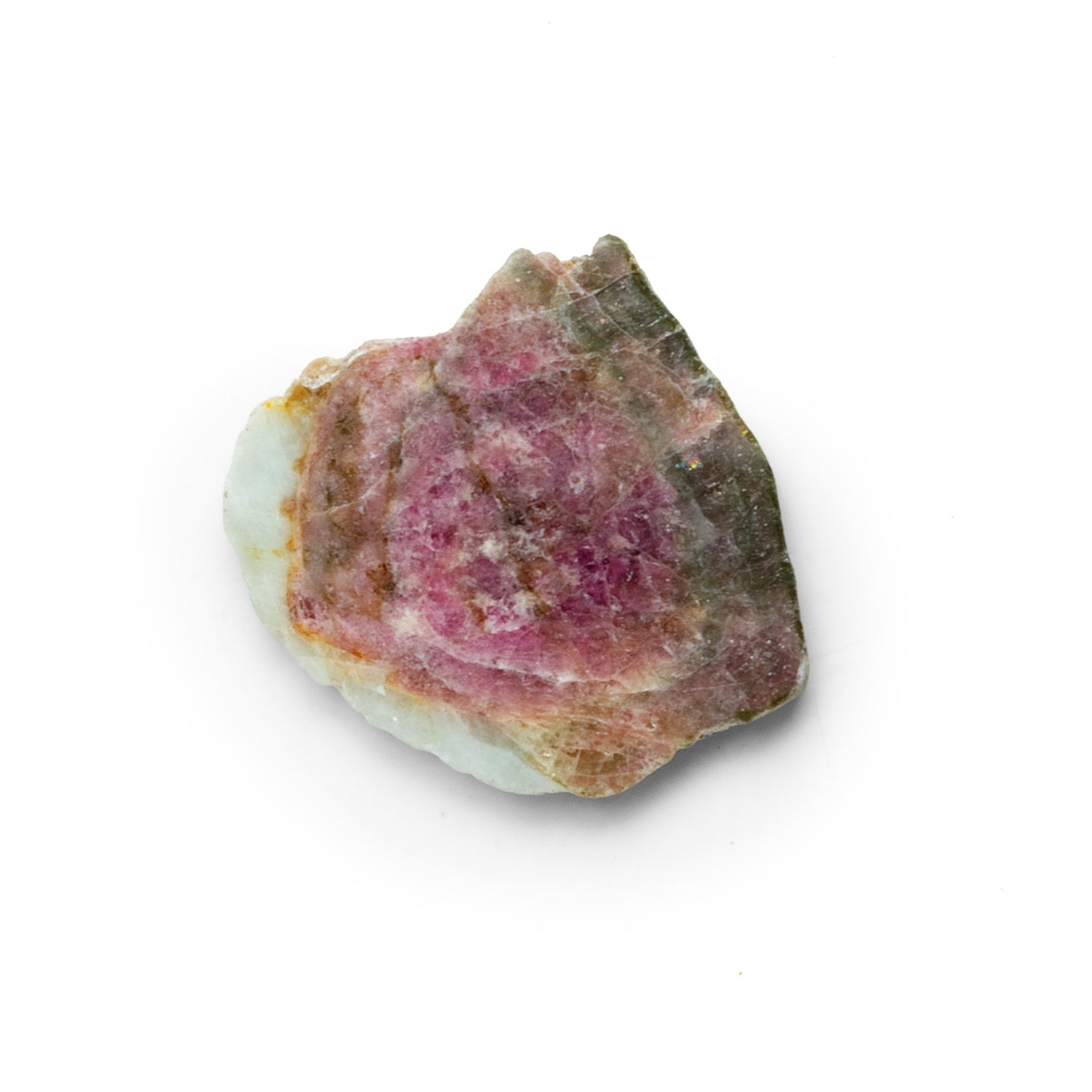 29x28mm Watermelon Tourmaline Slice Bead - The Bead Traders