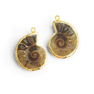 30mm Gold Leafed Ammonite Pendants 2 Beads - The Bead Traders