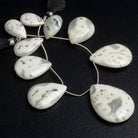 32x24mm Solar Quartz Plain Pears 8.5 inch 9 beads - The Bead Traders