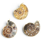 37x30mm Gold Leafed Ammonite Focal 1 Bead - The Bead Traders