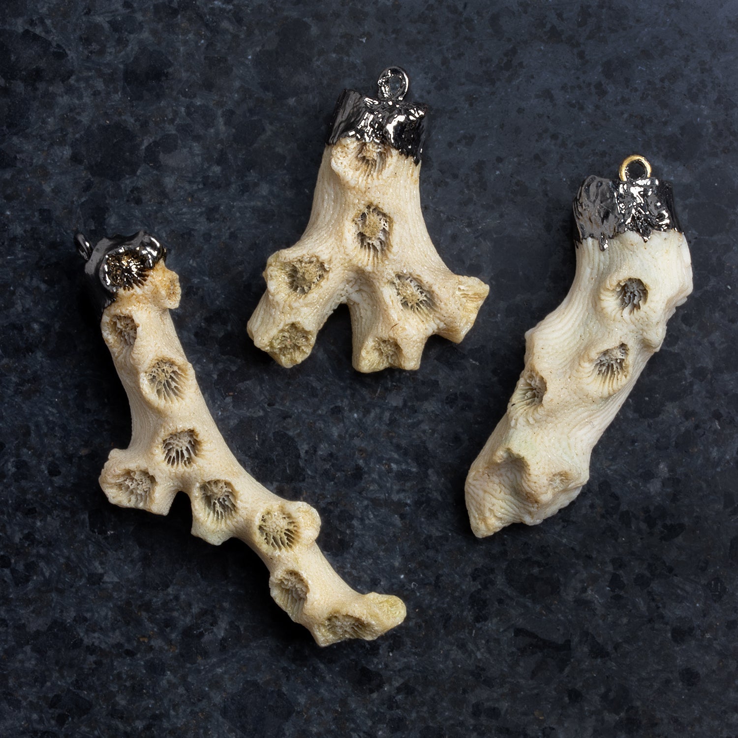 40x13mm Black Gold Leafed White Coral Pendant 1 Bead - The Bead Traders