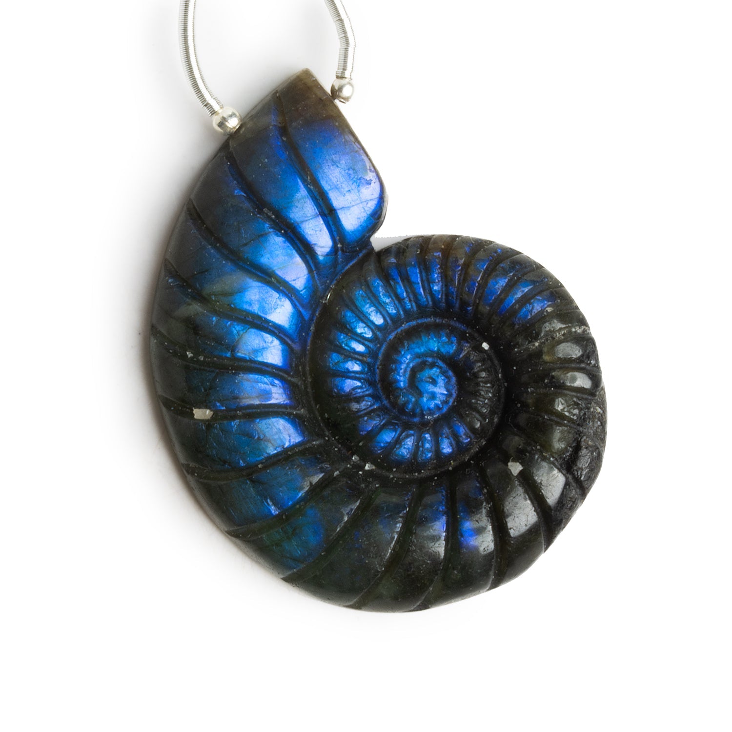 46x36mm Labradorite Carved Ammonite Focal 1 Bead - The Bead Traders
