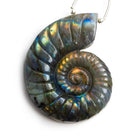 46x36mm Labradorite Carved Ammonite Focal 1 Bead - The Bead Traders