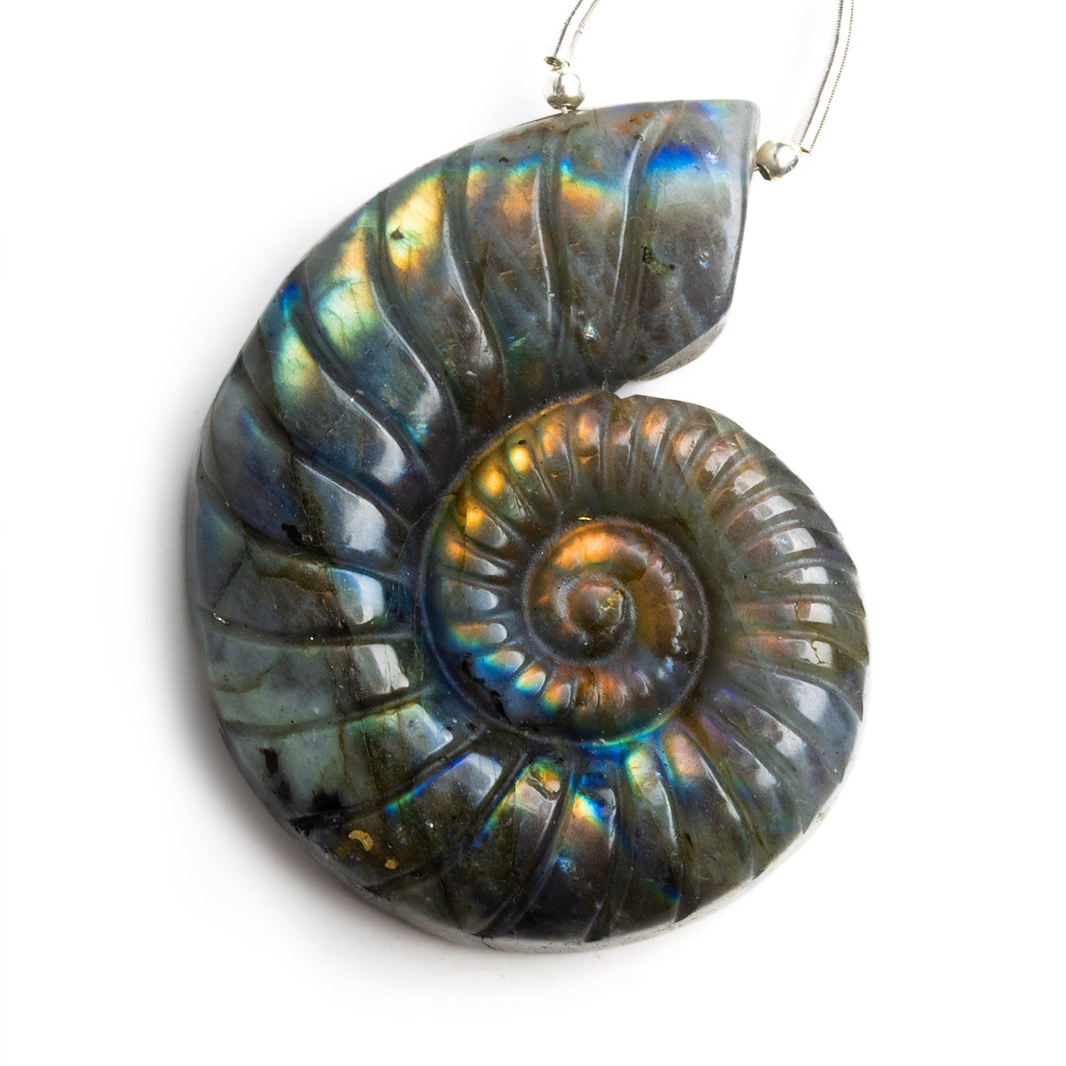 46x36mm Labradorite Carved Ammonite Focal 1 Bead - The Bead Traders