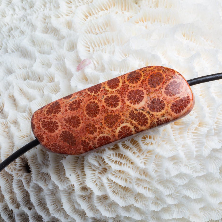 50x28m Fossilized Coral 2.5mm Large Hole Elongated Oval Focal 1 Bead - The Bead Traders
