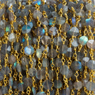 5mm Labradorite Coin Gold Chain 26 beads - The Bead Traders