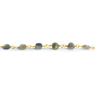 5mm Labradorite Coin Gold Chain 26 beads - The Bead Traders