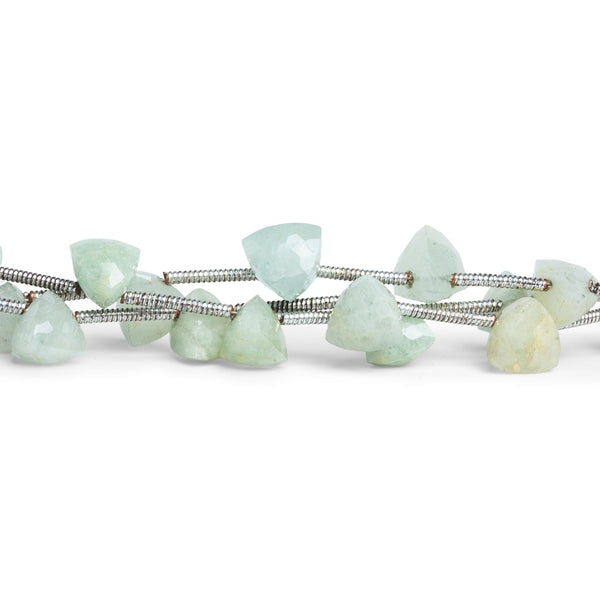 6-7mm Aquamarine Trillions 8 inch 15 beads